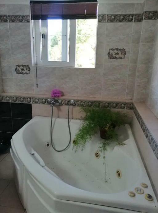 Sea Side Villa Alexandra Alissos Dış mekan fotoğraf